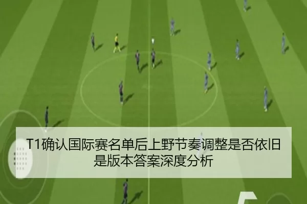 T1确认国际赛名单后上野节奏调整是否依旧是版本答案深度分析